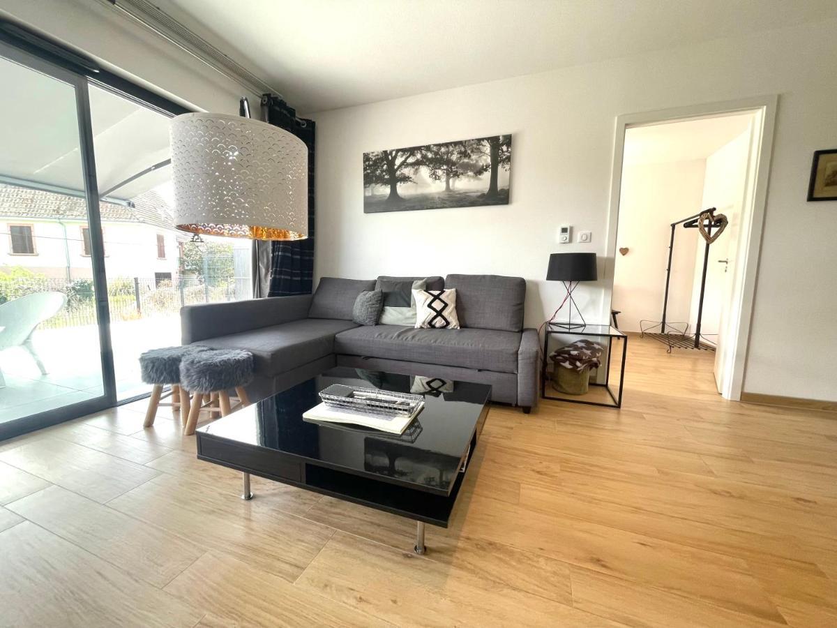 Magnifique 2 Pieces, Tout Equipe, Terrasse Privee Colmar Zewnętrze zdjęcie